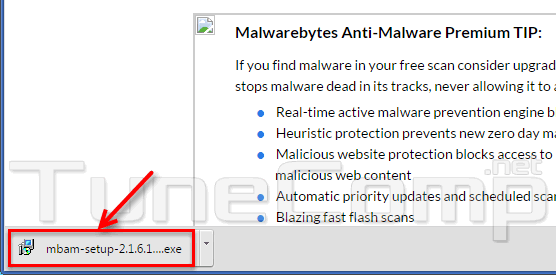 does malewarebytes protect from flash