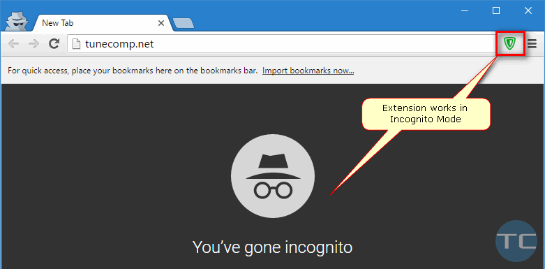 extension works in incognito mode