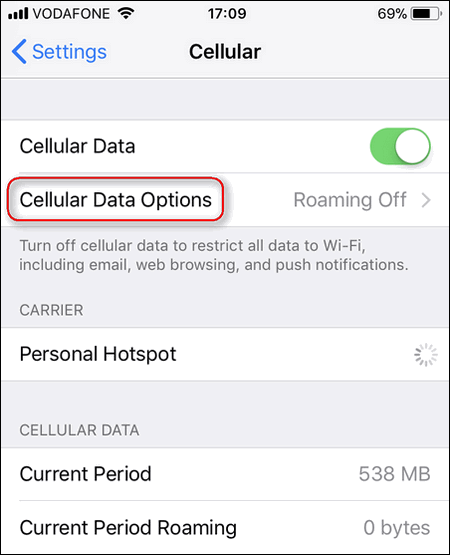 iPhone Cellular Data Options