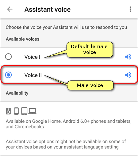 how to change google translate voice to male