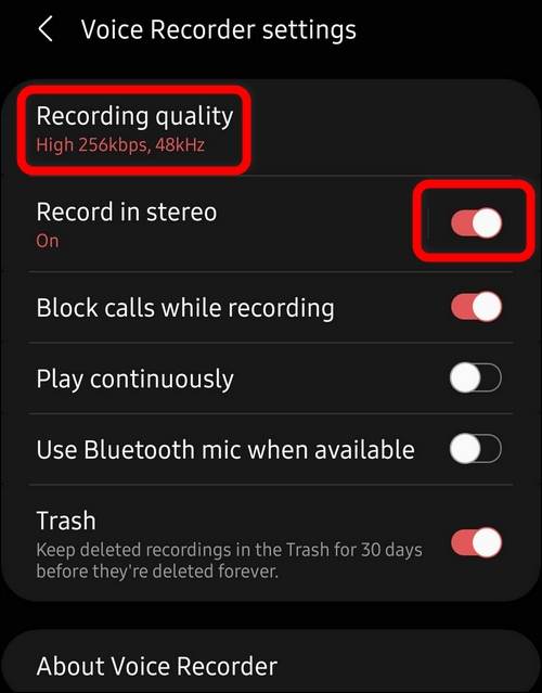 record stereo sound voice recorder One UI 3.1 Samsung Galaxy S21
