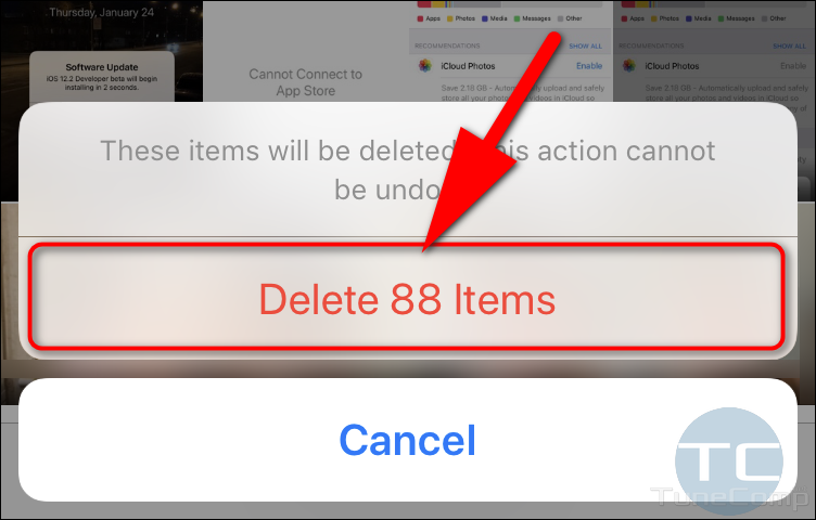 delete items from Recently Deleted album