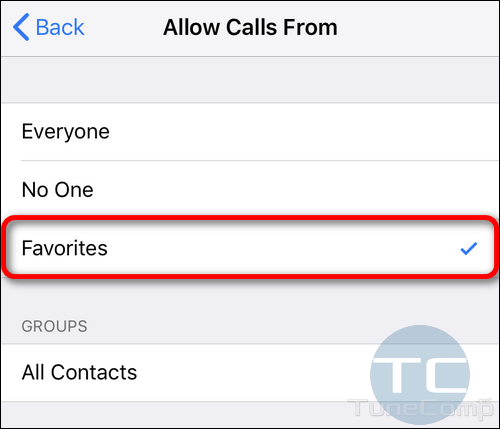 allow calls from favorites iPhone