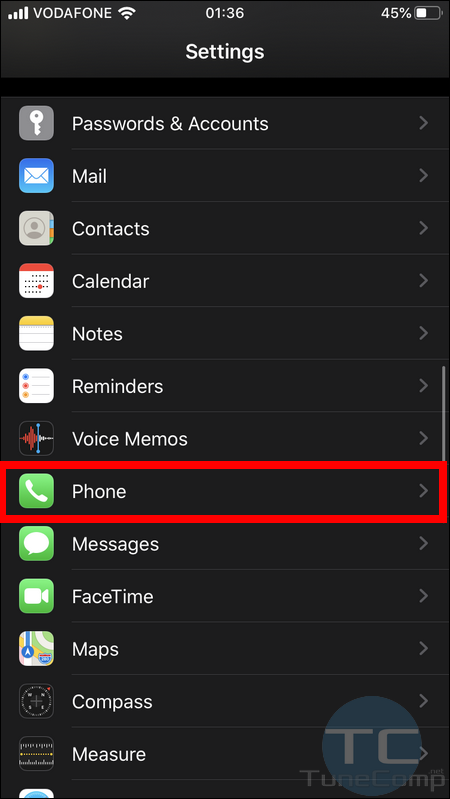 iPhone settings - phone section