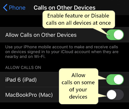 Allow Calls on Other Devices iPhone iOS 13