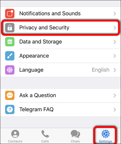 Teleram Privacy and Security Settings iOS