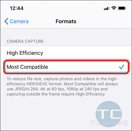 most compatible formats iPhone 11 camera capture