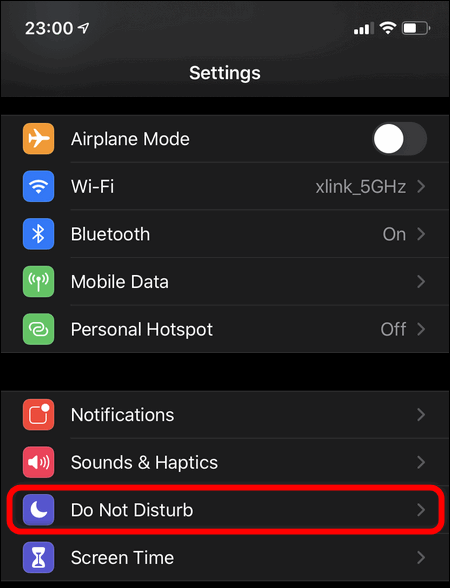 Settings Do Not Disturb iOS 13.5
